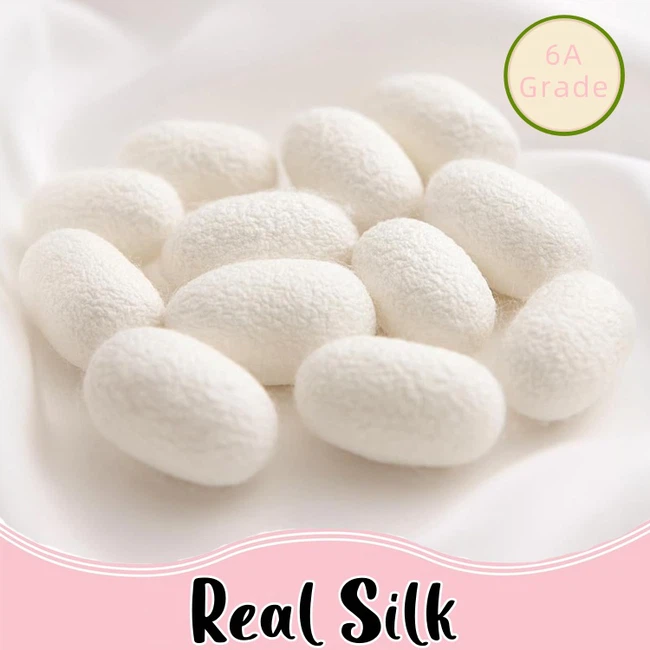 product-750-750 product-750-750